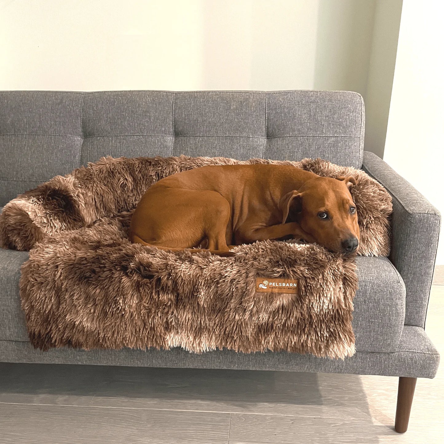 Cama Pelsbarn Original (2 en 1)