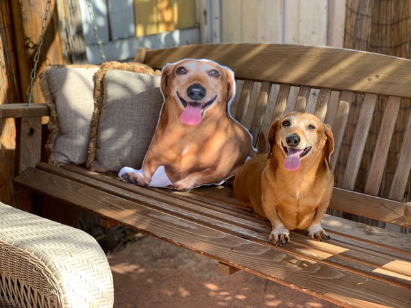 Crea Una Almohada Personalizada Para Perros