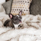Pelsbarn™ Waterproof Throw Blanket