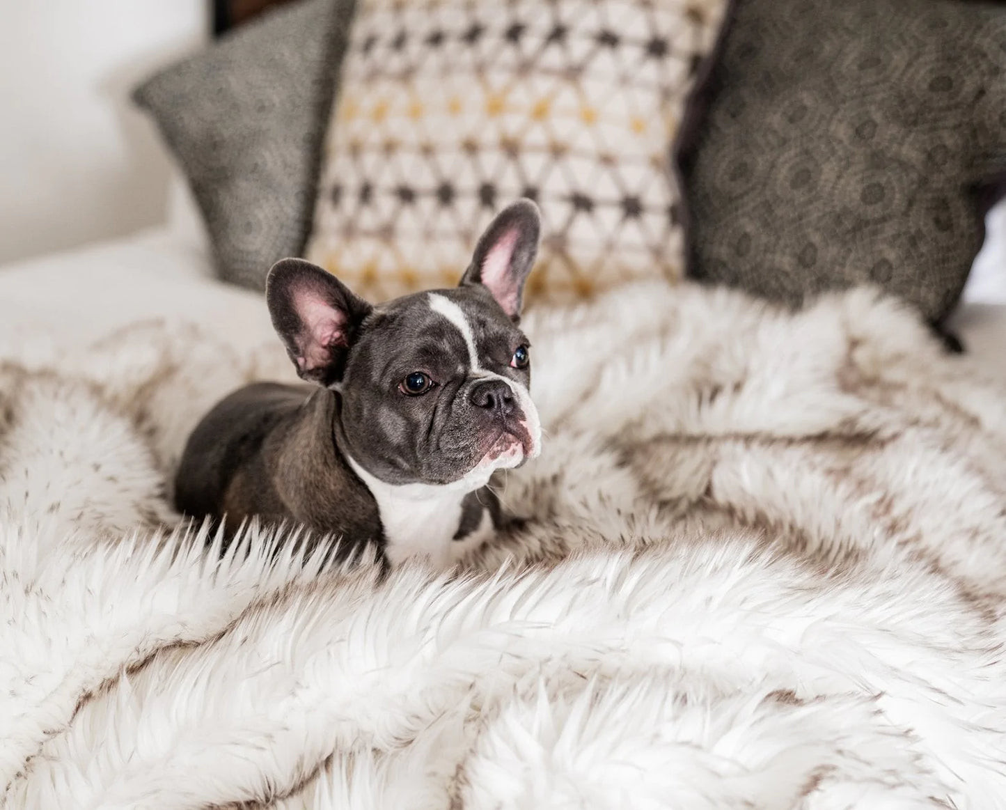 Pelsbarn™ Waterproof Throw Blanket