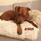 Pelsbarn Fluffy dog bed for better sleep (2-in-1)