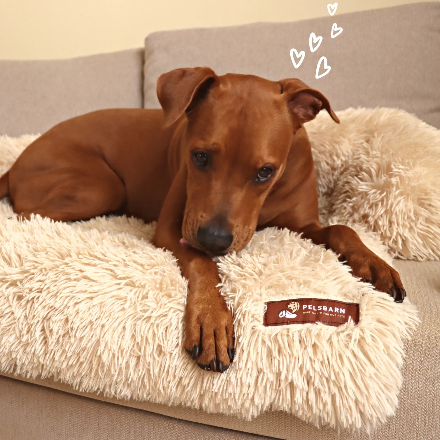 Pelsbarn Fluffy dog bed for better sleep (2-in-1)