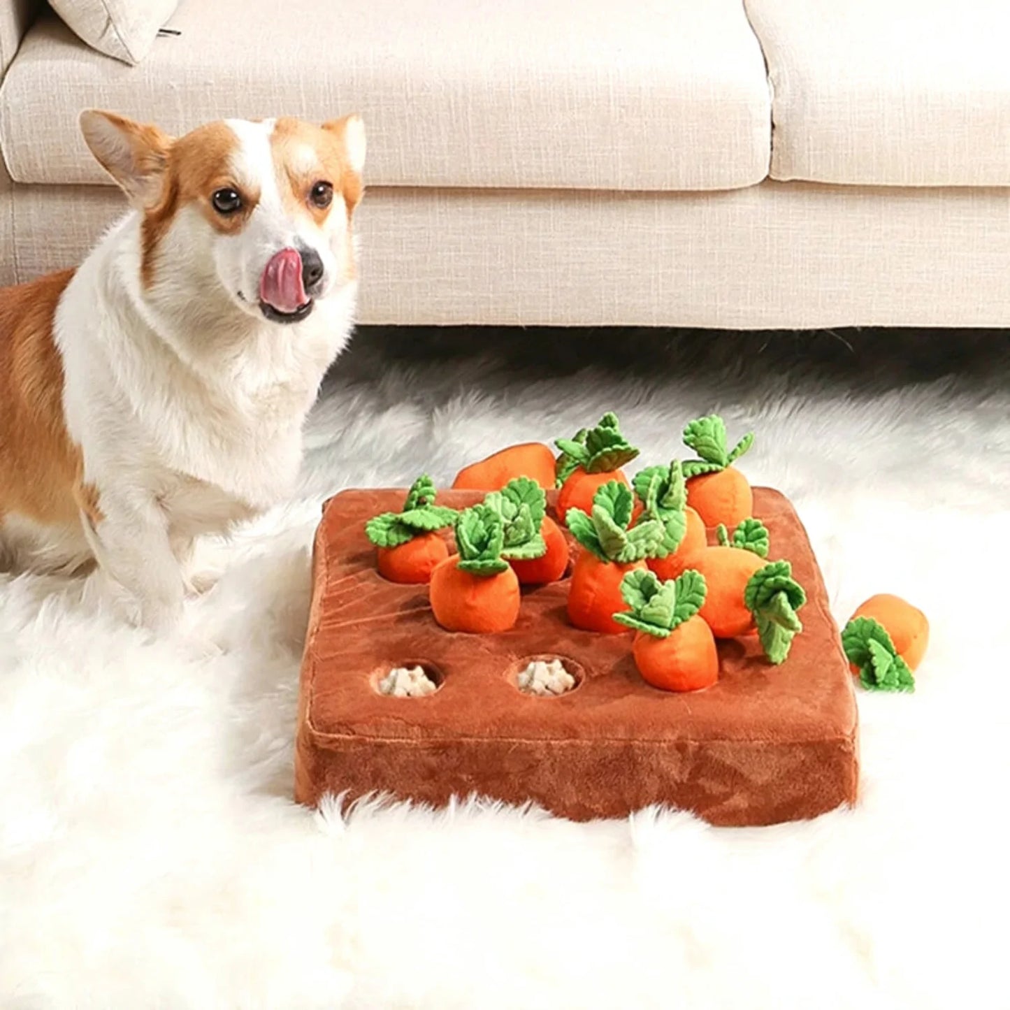 Juego de Entretenimiento con Zanahorias para mejorar la salud mental de los perros