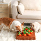 Juego de Entretenimiento con Zanahorias para mejorar la salud mental de los perros