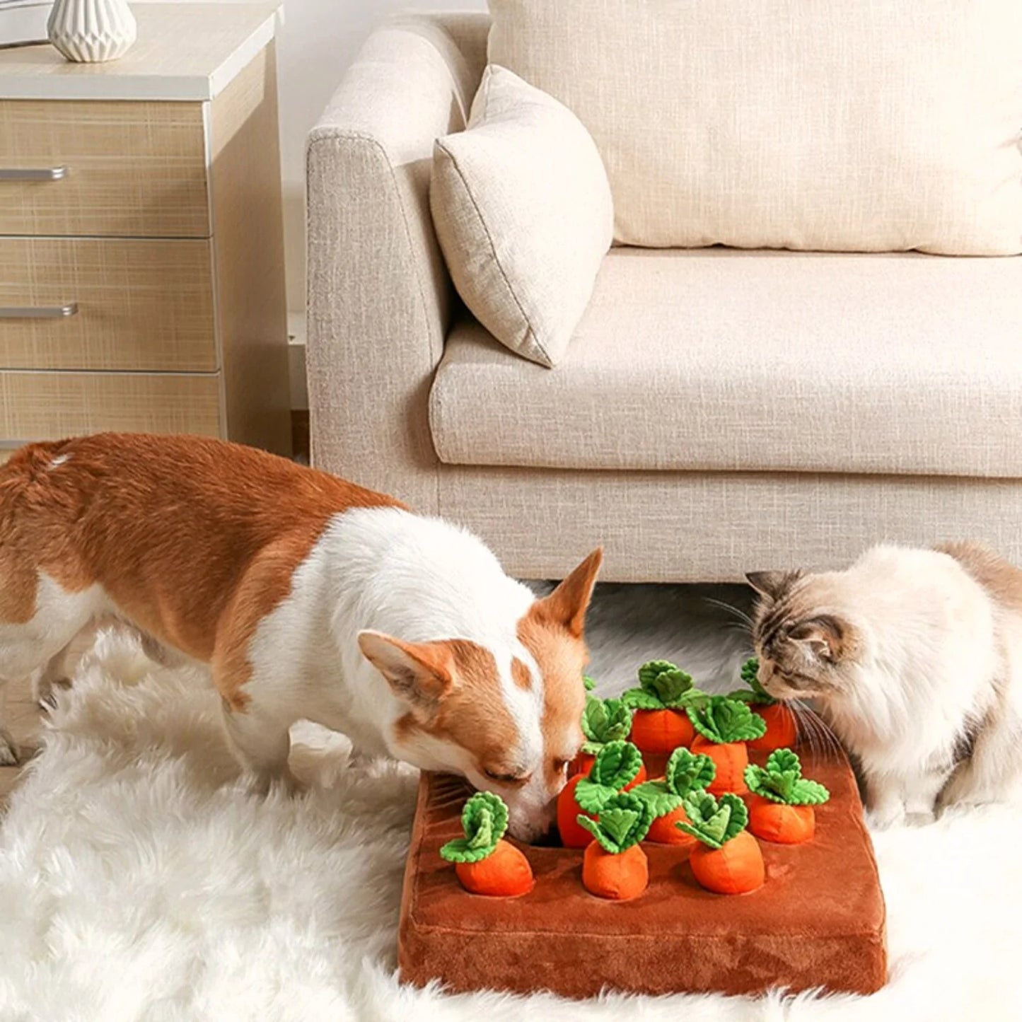 Juego de Entretenimiento con Zanahorias para mejorar la salud mental de los perros