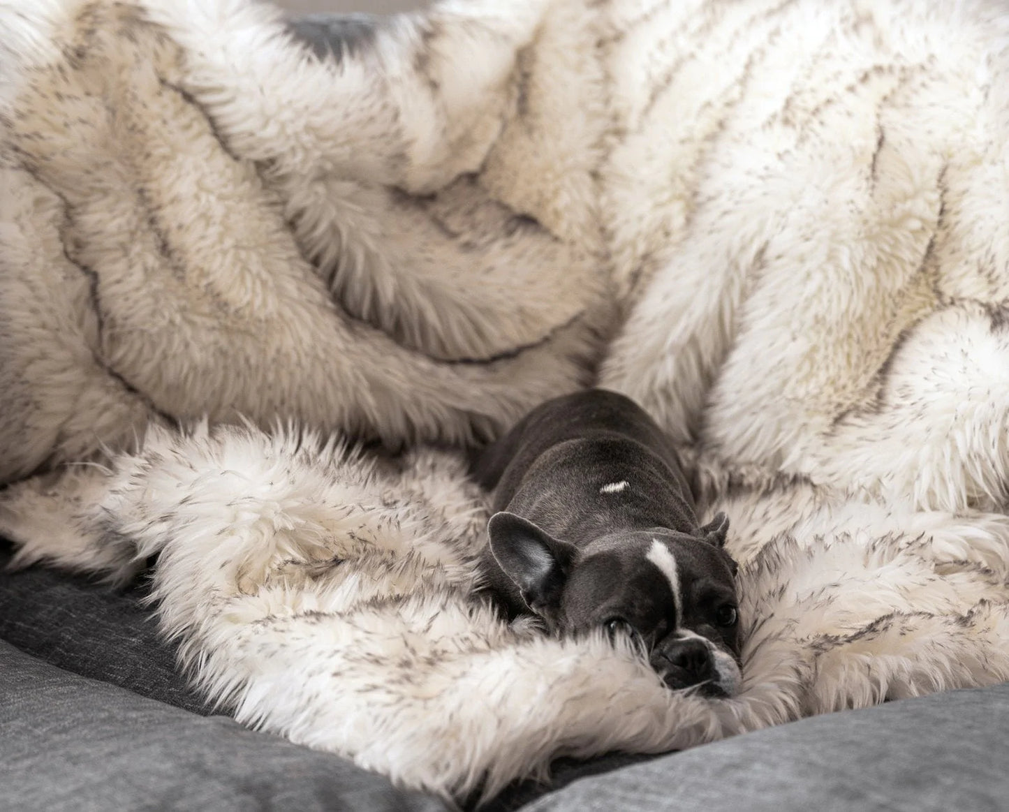 Pelsbarn™ Waterproof Throw Blanket