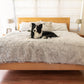 Pelsbarn™ Waterproof Throw Blanket