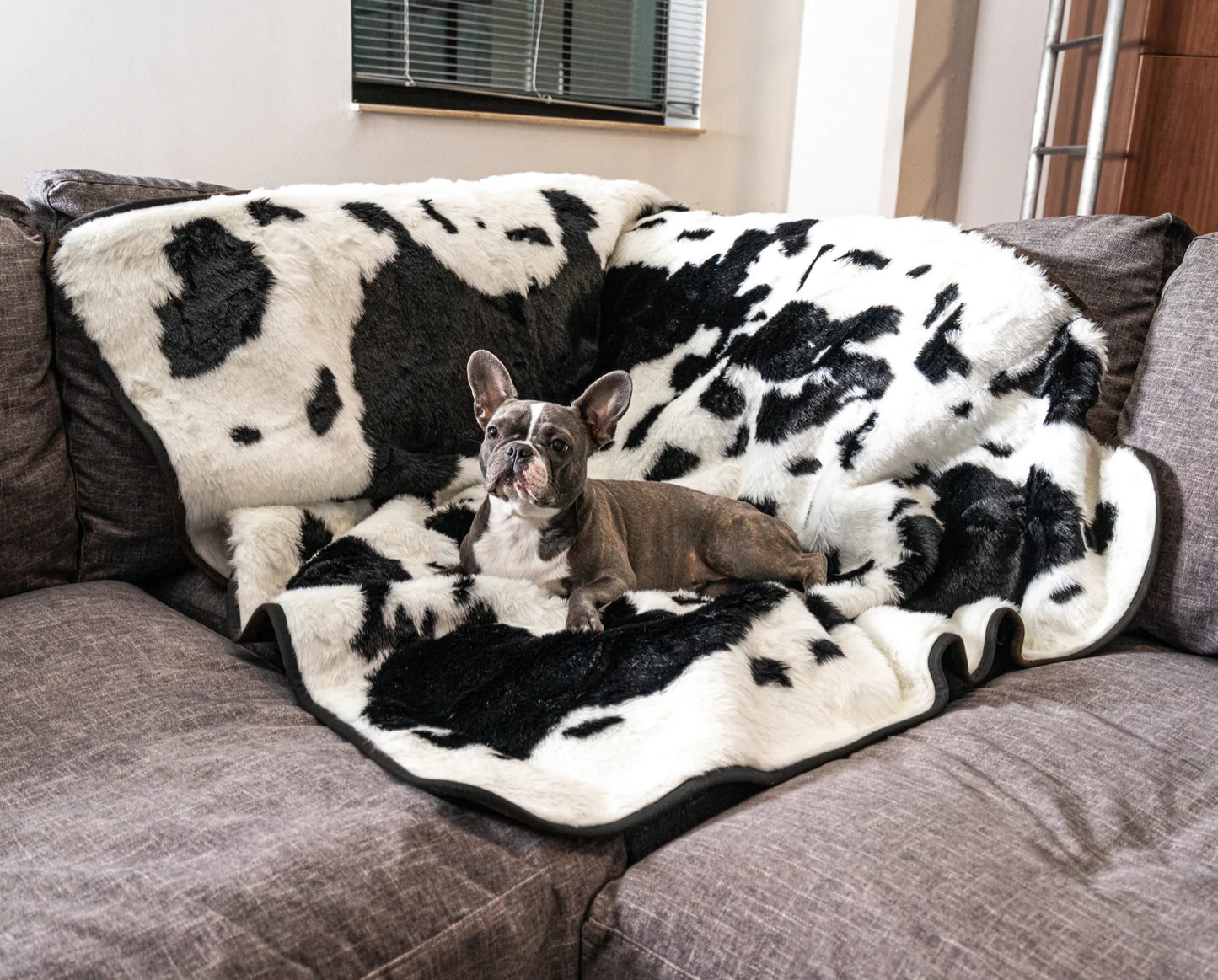 Pelsbarn™ Waterproof Throw Blanket