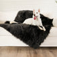 Pelsbarn™ Waterproof Throw Blanket