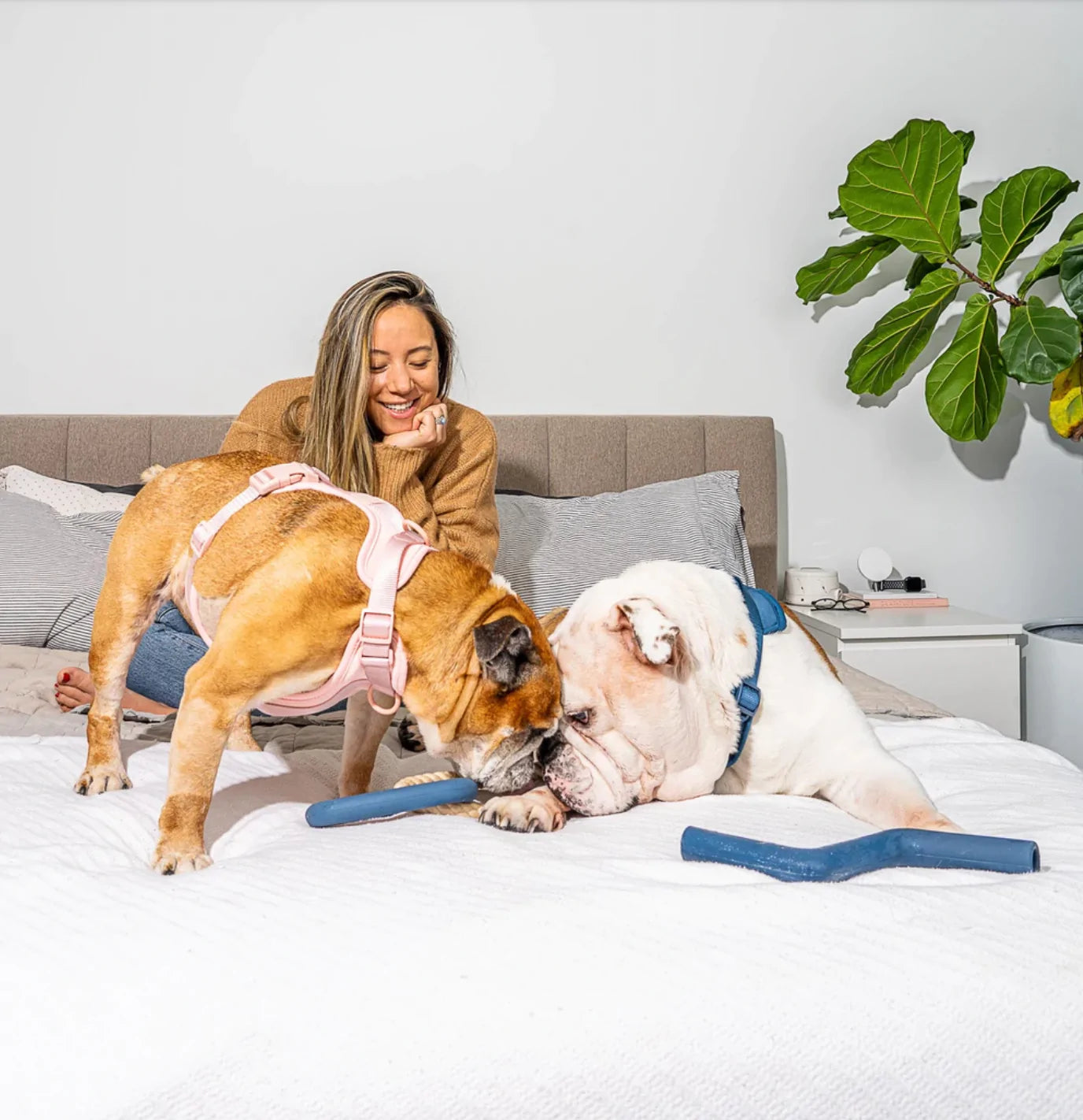 Arnés para Perros Pelsbarn