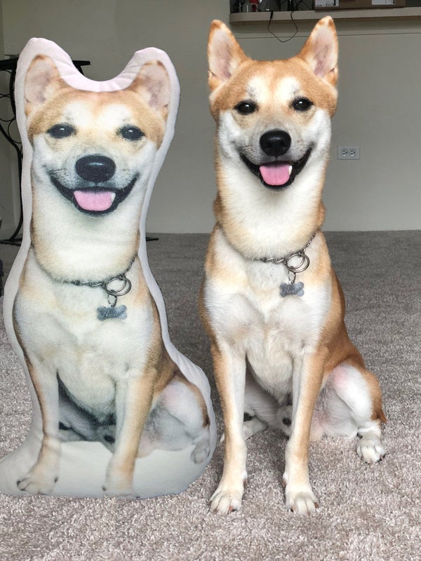 Crea Una Almohada Personalizada Para Perros