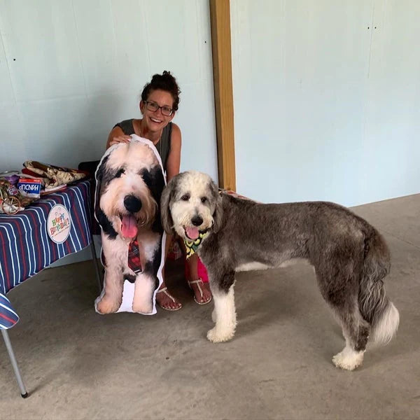 Crea Una Almohada Personalizada Para Perros