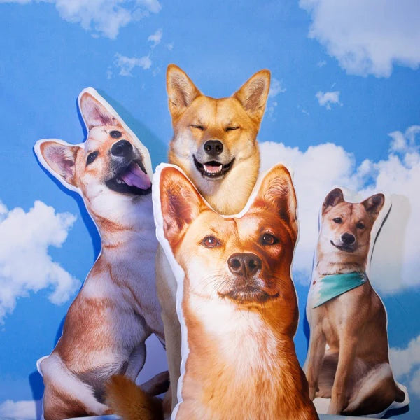 Crea Una Almohada Personalizada Para Perros
