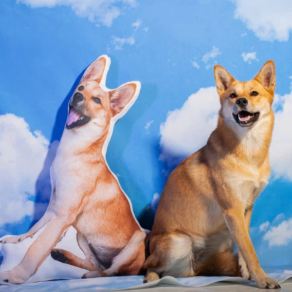 Crea Una Almohada Personalizada Para Perros