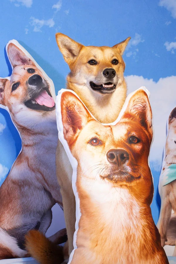 Crea Una Almohada Personalizada Para Perros