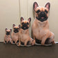 Crea Una Almohada Personalizada Para Perros