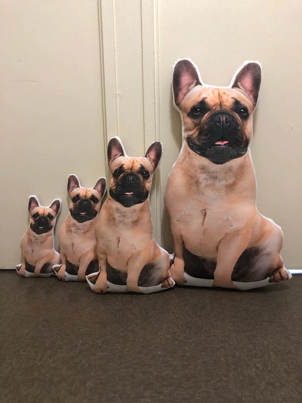 Crea Una Almohada Personalizada Para Perros