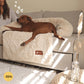 Cama para perros Pelsbarn Peluche Calmante para dormir mejor (2 en 1)