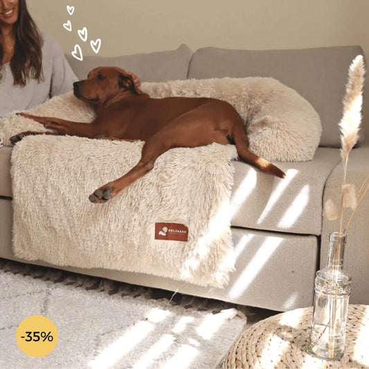 Cama para perros Pelsbarn Peluche Calmante para dormir mejor (2 en 1)