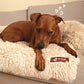 Cama Pelsbarn Original (2 en 1)